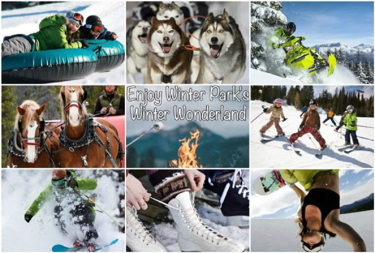 This lively exterior image shows people enjoying a variety of winter activities including snow tubing, dog sledding, skiing, snowboarding, and ice skating. Children are playing in the snow, and huskies add to the winter adventure vibe. The snowy landscape and fire pit in the scene capture the spirit of outdoor fun and family-friendly excitement.